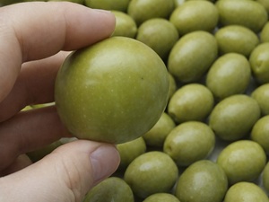 Greece Fruit Inspection Surveyor Services Greece Fruit Surveying Quality Control Services